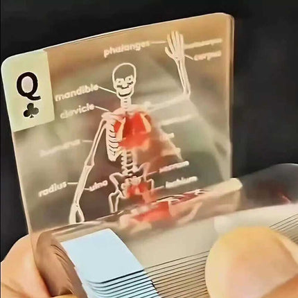 3D Human Anatomy Cards The Body Deck It's What's Inside That Counts