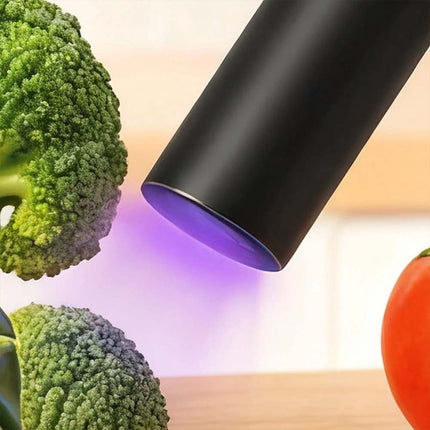 Portable UV Black Light Flashlight for Vegetable Detector and Inspection