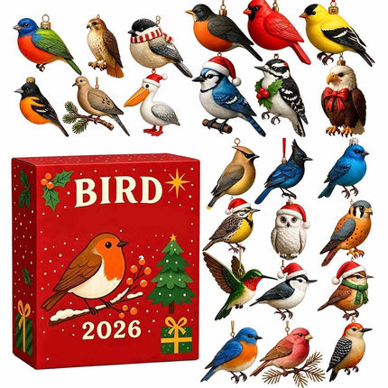 24Day Xmas Advent Calendar SeaGlass Gnome Birds 2D Acrylic Ornament Gift