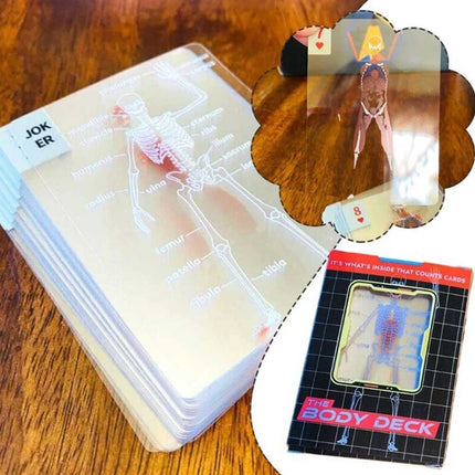 3D Human Anatomy Cards The Body Deck It's What's Inside That Counts