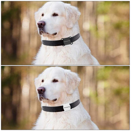 Find Pet GPS Dog Tracker Anti Lost Mini Wireless Waterproof Pet Tracker
