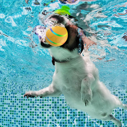 LED Interactive Pet Dog Ball Toy, Moving Roll for Puppy Training Indoor Outdoor