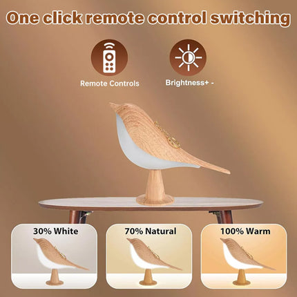 2 in 1 Bird Diffuser Lamp, USB Touch Sensor Bedside Desk Light