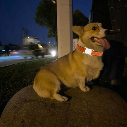 Find Pet GPS Dog Tracker Anti Lost Mini Wireless Waterproof Pet Tracker