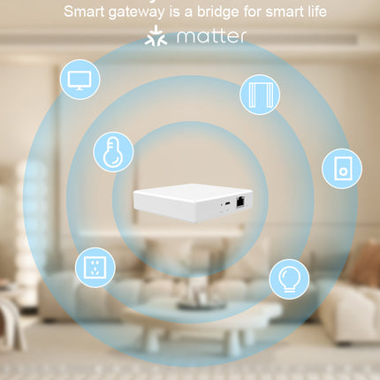 Smart Home Matter Gateway, Wired Multi-Mode Hub for IoT Devices