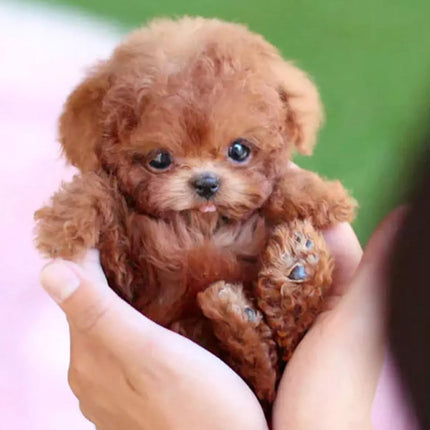 My Realistic Robot Puppy Electronic Interactive Pet Dog Cute Gift