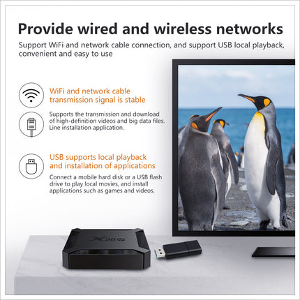 X96Q Android TV Box Allwinner H313 Single WIFI, Android 10, 4K HD