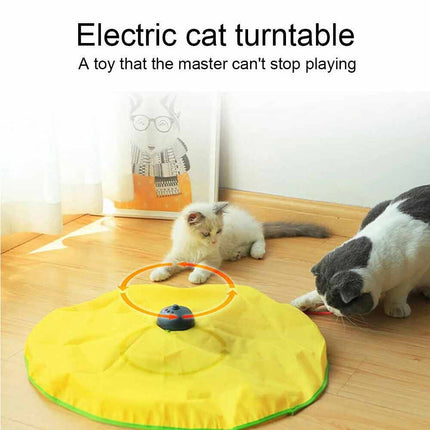 Electronic Interactive Cat Toy with Rotating Mouse for Puzzle Play