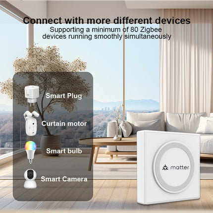 Smart Home Matter Gateway, Wired Multi-Mode Hub for IoT Devices