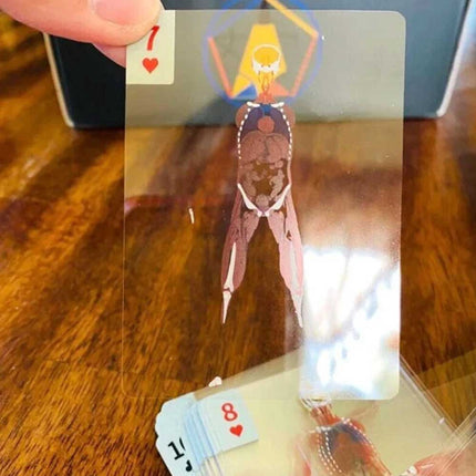 3D Human Anatomy Cards The Body Deck It's What's Inside That Counts