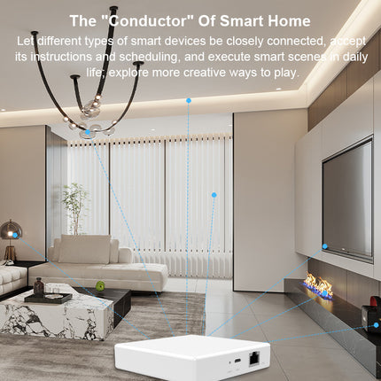 Smart Home Matter Gateway, Wired Multi-Mode Hub for IoT Devices