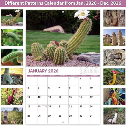 2026 Nature's Pics Wall Calendar Month to View Funny Gag Gift