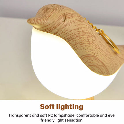 2 in 1 Bird Diffuser Lamp, USB Touch Sensor Bedside Desk Light