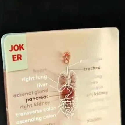 3D Human Anatomy Cards The Body Deck It's What's Inside That Counts