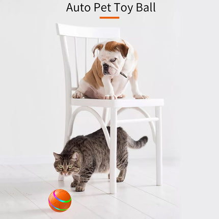 LED Interactive Pet Dog Ball Toy, Moving Roll for Puppy Training Indoor Outdoor