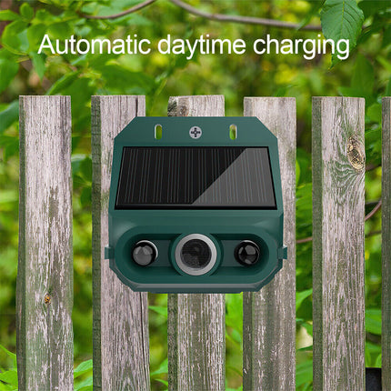 Ultrasonic Motion Sensor Pest Repeller for Cat Dog Fox Scarer Deterrent