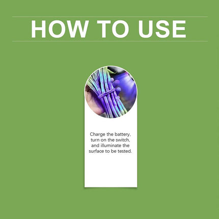 Portable UV Black Light Flashlight for Vegetable Detector and Inspection