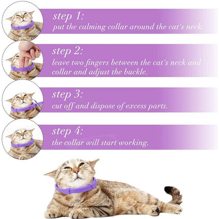 3x Cat Calming Collar 38cm Natural Lavender Pheromone Anxiety Relief