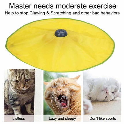 Electronic Interactive Cat Toy with Rotating Mouse for Puzzle Play