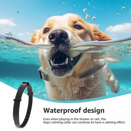 4 Pack Calming Collar for Dogs Cats Pet Pheromone Collar Anxiety Relief
