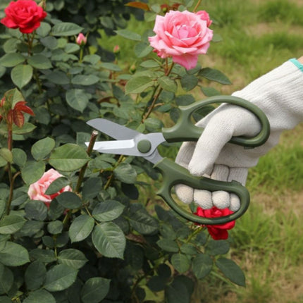 Garden Scissors & Floral Pruning Shears, Stainless Steel for Potted Plants