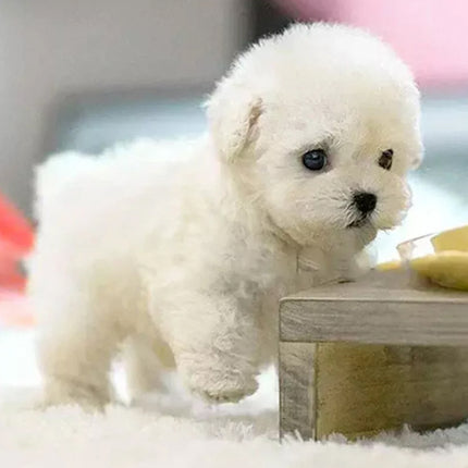 My Realistic Robot Puppy Electronic Interactive Pet Dog Cute Gift