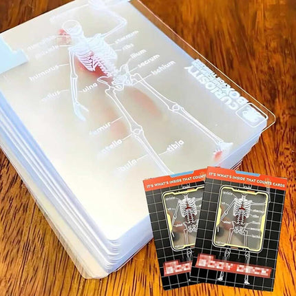 3D Human Anatomy Cards The Body Deck It's What's Inside That Counts