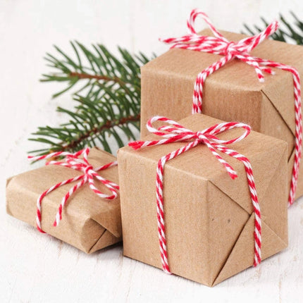 100m Red White Twine Jute Cotton String Gift Wrap Christmas Craft Decor