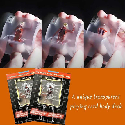 3D Human Anatomy Cards The Body Deck It's What's Inside That Counts